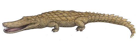 Laganosuchus | Fossil Wiki | Fandom