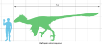Utahraptor scale