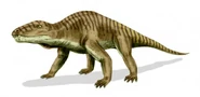 Dinocephalians