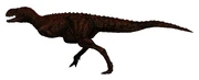 Restoration of Indosuchus