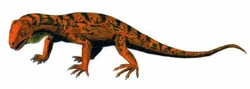Trilophosaurus BW