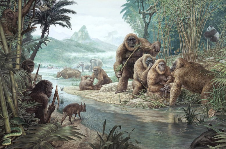 gigantopithecus fossils