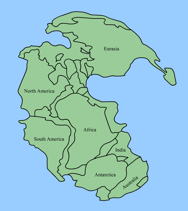 pangea animation future