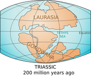 Laurasia-Gondwana