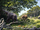 Prodeinotherium