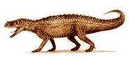 Prestosuchus