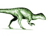 Stenopelix