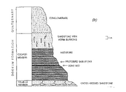 Protoavis formation graph