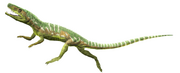 Euparkeria