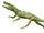 Euparkeria