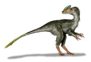 Guanlong BW