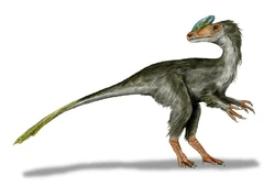 Guanlong BW