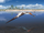 Lusognathus