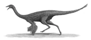 Restoration of Gallimimus bullatus.png (306 KB)