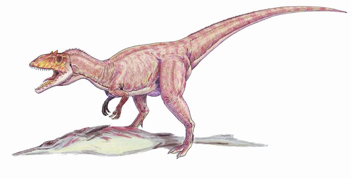 1964 in paleontology | Fossil Wiki | Fandom