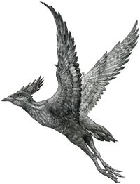 , probably one of the most primitive ornithurine birds