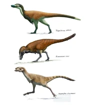 Reconstruction of 3 alvarezsaurids