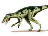 Herrerasaurus