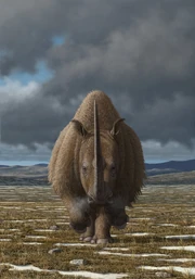Life reconstruction of a woolly rhinoceros walking