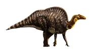 Life reconstruction of Ouranosaurus nigeriensis