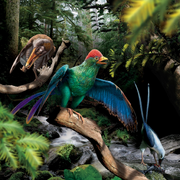 Life reconstruction of enantiornithines feeding