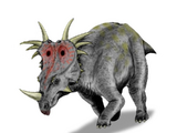 Styracosaurus