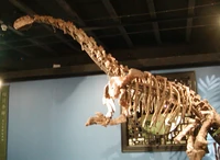 Jingshanosaurus