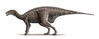 Mantellisaurus atherfieldensis