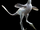 Halszkaraptor