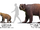 Arctotherium