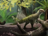 Chaoyangsaurus