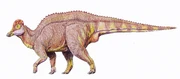 Restoration