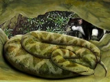 Wonambi