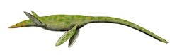 Styxosaurus BW