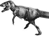 1866 in paleontology