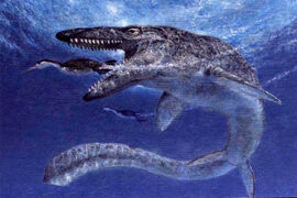 Mosasaur1tylosaur1