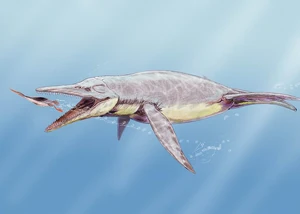 Brachauchenius lucasi trying to catch .