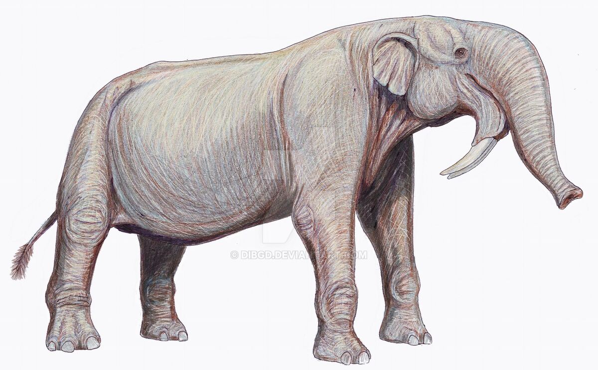 The Deinotherium was an extinct mammal that lived during the Miocene era  and is related to