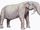 Deinotherium