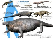 Caseasauria