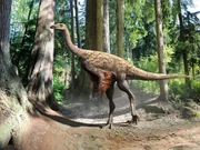Illustration of Ornithomimus velox