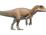 Allosaurus