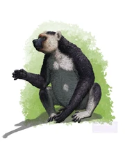 Reconstruction of Archaeoindris sitting
