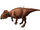 Sasayamagnomus