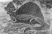 Naosaurus Charles Knight