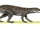 Erpetosuchus