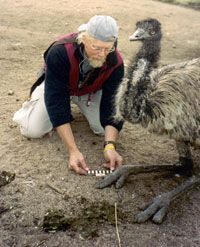 Brent Breithaupt.jpg