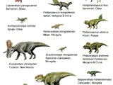 Evolution