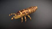 Rhyniella praecursor