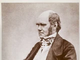 Charles Darwin